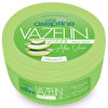 Cire Aseptine Aloe Vera Vazelin 150 ml