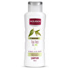 Mousson Çinko &amp; Çay Ağacı İçeren Kepek Karşıtı ve Önleyici Sülfatsız Saç Bakım Şampuanı 385 ml