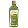 Dalan D'Olive Doğal Zeytinyağlı Onarıcı Bakım Besleyici Şampuan 400 ml