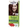 Palette Kalıcı Doğal Renkler Saç Boyası 3-68 Kızıl Çikolata
