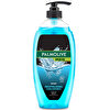 Palmolive Men Sport 4'ü 1 Arada Duş Jeli ve Şampuan 750 ml
