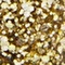 941 Gold Coin 941 Gold Coin