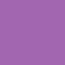 301 Purple Pop